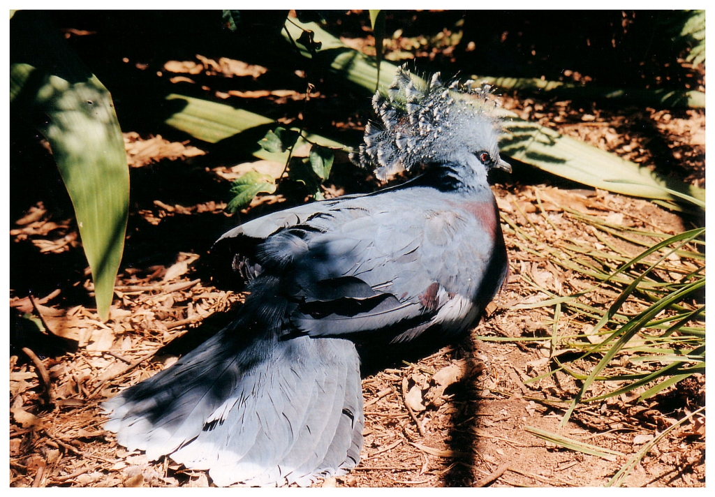 04 - Queensland (4).jpg